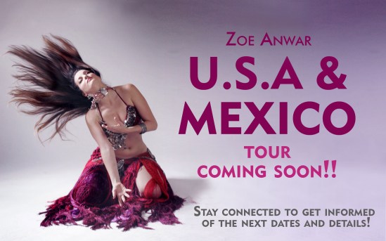 cartel-tour-mexico-usa